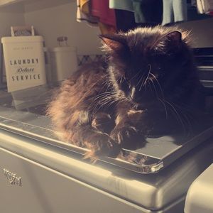 Meet your Posher, Jaycee